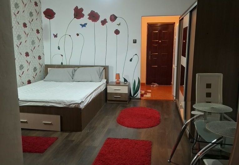 Garsoniera- Lapus - Poză 7