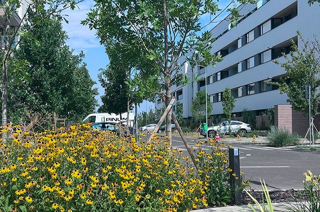 3 camere cu Gradina Proprie Sector 1 - Mall Colosseum - Poză 31