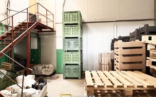 Hala industriala de vanzare Arad – 589 mp - Poză 3