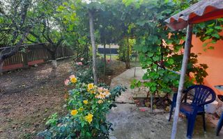 🏡 CASĂ BĂTRÂNEASCĂ LOCUIBILĂ DE VÂNZARE – TRIFEȘTI, IAȘI 🏡 - Poză 3