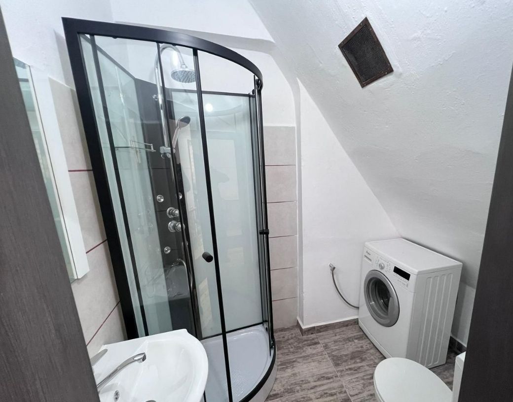 Apartament cu o camera la casa | 40 mp | Zorilor | UMF | USAMV - Poză 13