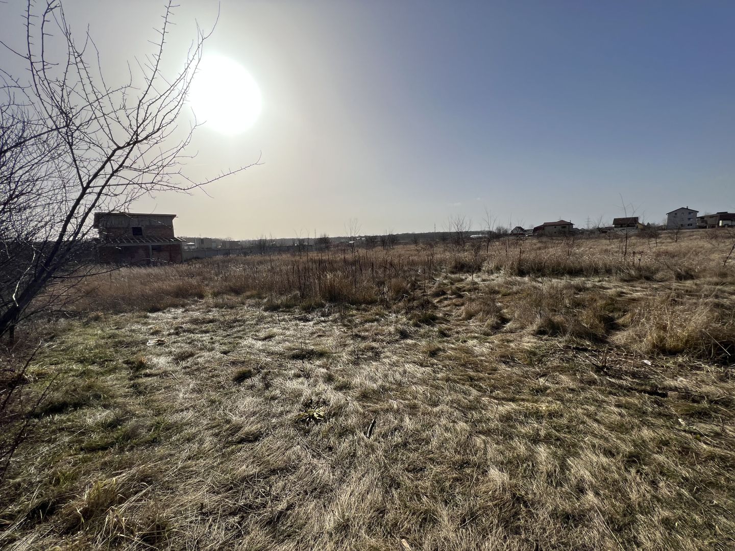 Teren Balotesti - Privighetorilor (Parcului Edenland) - Poză 5