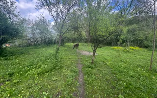 TEREN INTRAVILAN 7018 MP CAMPULUNG - Poză 26