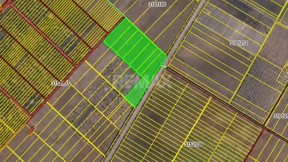 4,85 HA CU DESCHIDERE DE 300 M LA TRASEU | CRIULENI – SLOBOZIA-DUȘCA - Poză 7
