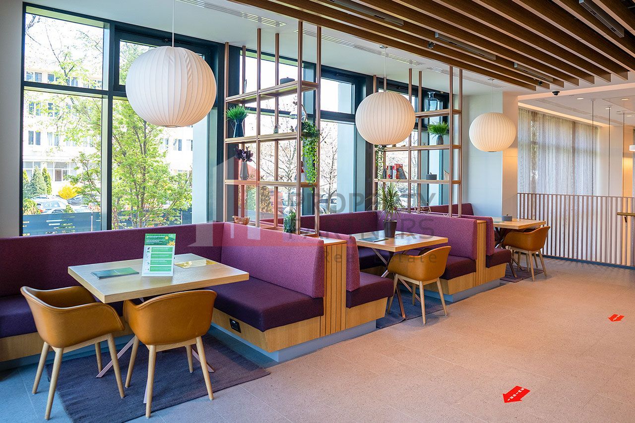 Spatiu modern pentru birouri - 290.0 mp - Grozavesti - Poză 10