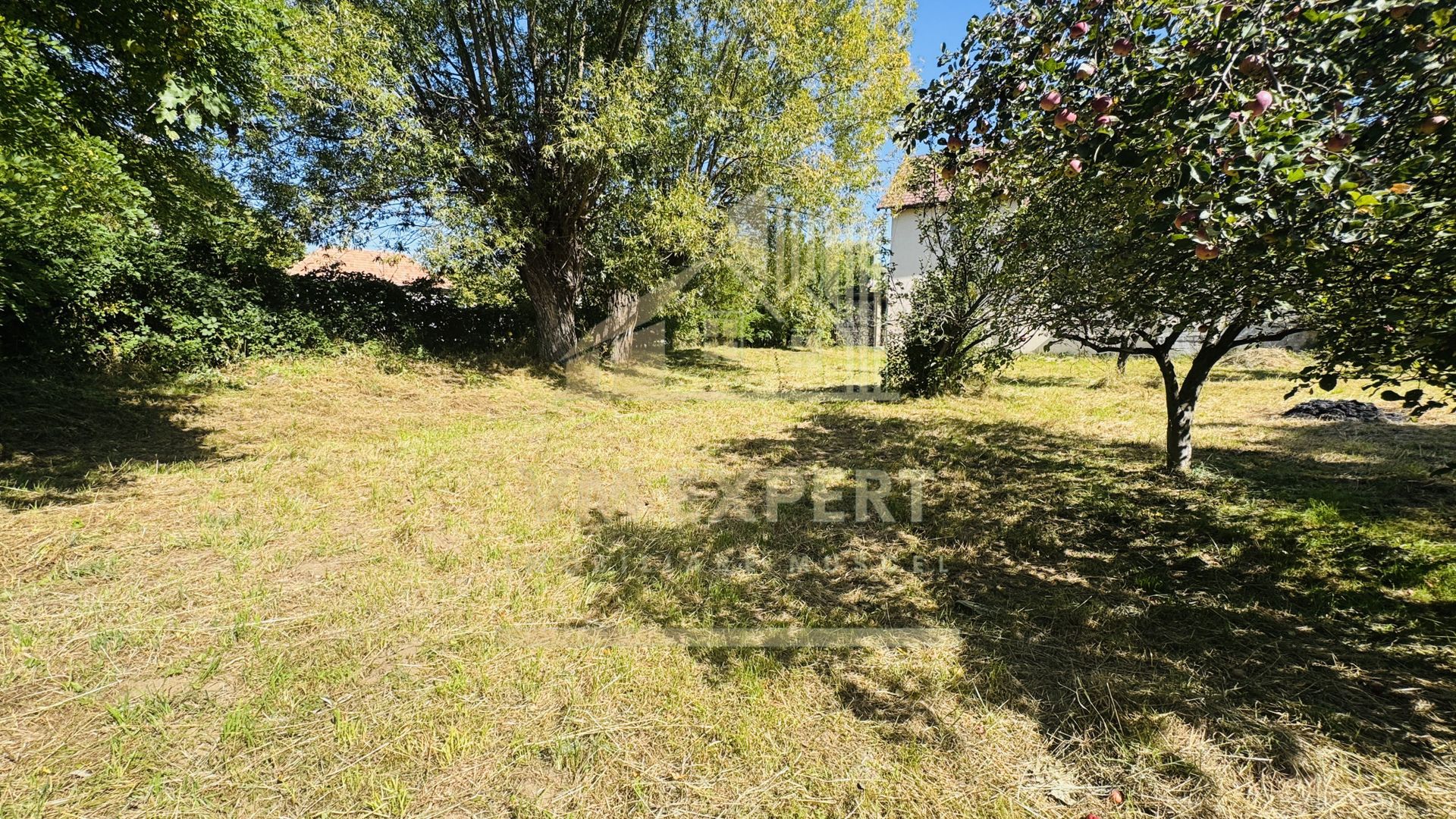 TEREN INTRAVILAN 3234 MP LEREȘTI VOINEȘTI ARGEȘ - Poză 23