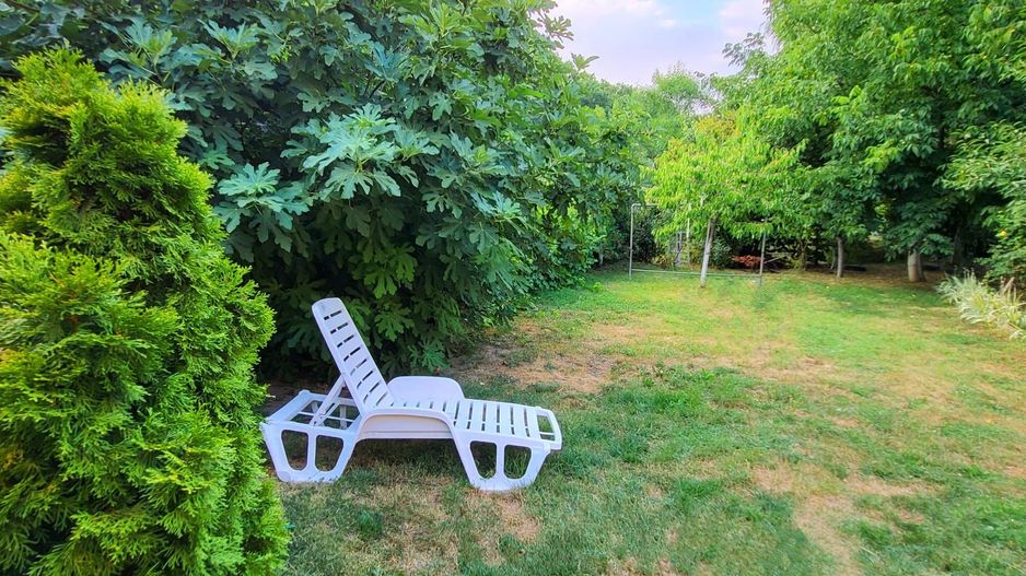 Vila-Timisoara -aleea Ghirodei-comision zero - Poză 14