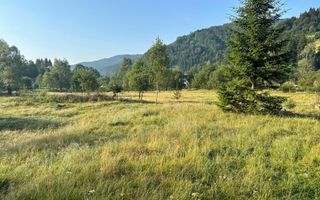 TEREN INTRAVILAN 500 MP SĂTIC- RUCĂR - Poză 2