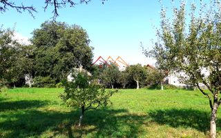 Casa 3 camere, teren 3625 mp, toate utilitatile, Sacele, Brasov - Poză 3