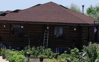Balta de Pescuit | Cabana din Busteni | Teren 6,37 ha | langa Oradea - Poză 19