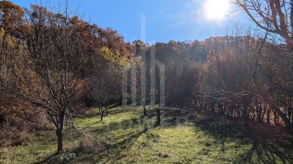 Teren extravilan in Tropinii Noi (Rasinari)-2592 mp - Poză 3