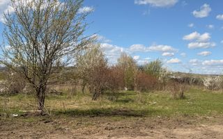 Teren situat în Sopor 5800 mp | Intravilan | Iulius Mall - Poză 6