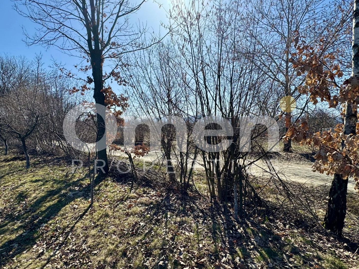 Teren intravilan | Berința | 5800 mp - Poză 7