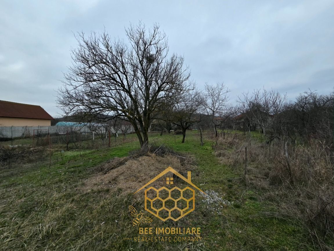 Teren 1.451 mp INTRAVILAN in Podari – Toate utilitatile - Poză 7