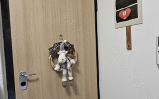 Etaj 1.  Dumbravita - Kaufland . 1  Loc de parcare - Poză 6