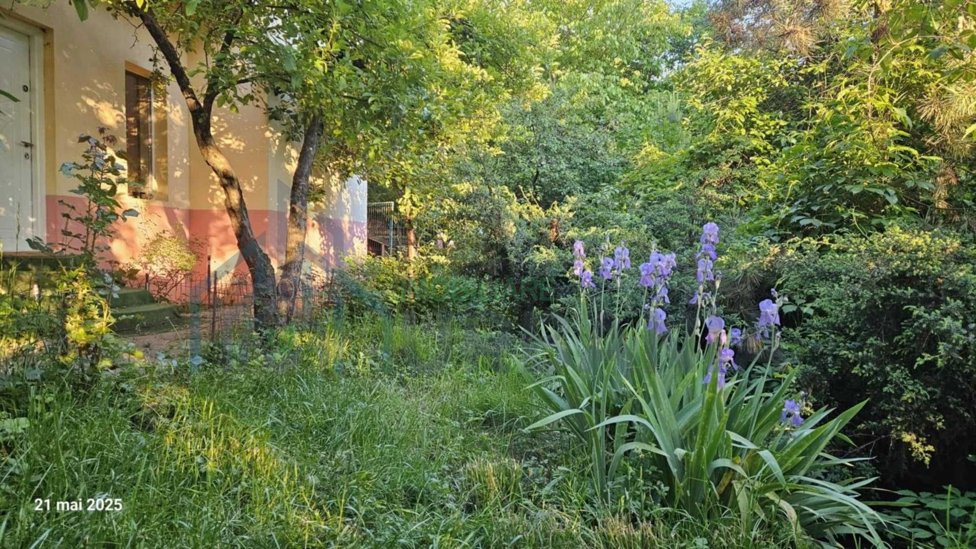 Vila de închiriat în Copou, gard în gard cu Grădina Botanică - Poză 5