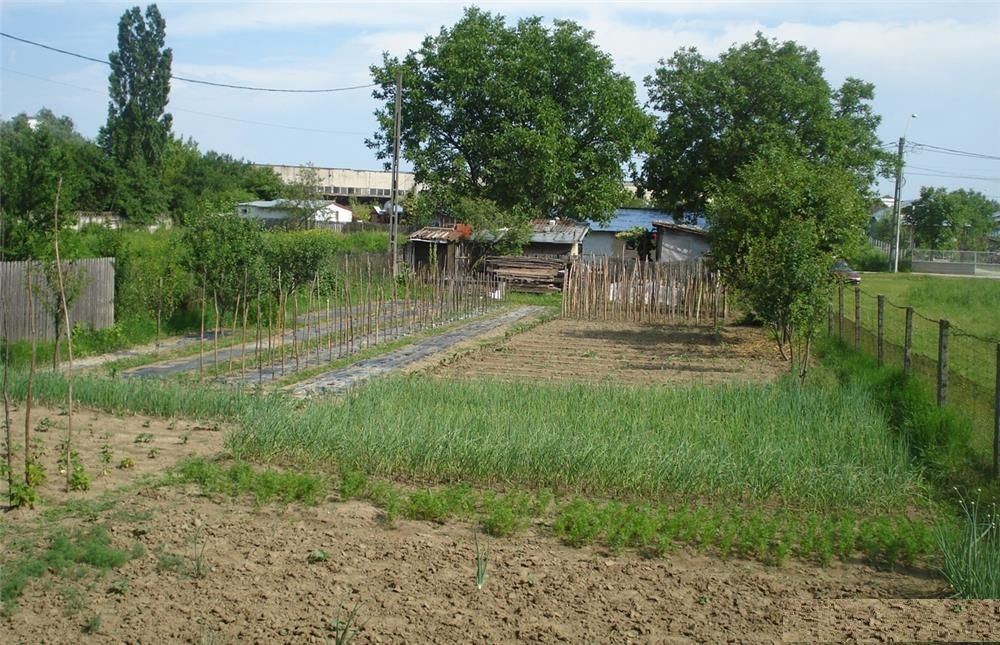 AZURA Imobiliare - Teren Auchan Gavana si Casa Bonus - Poză 5