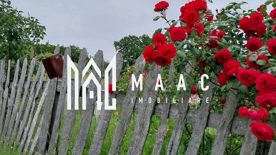 Proprietate cu 60000 mp pamant la pret de apartament - Poză 17