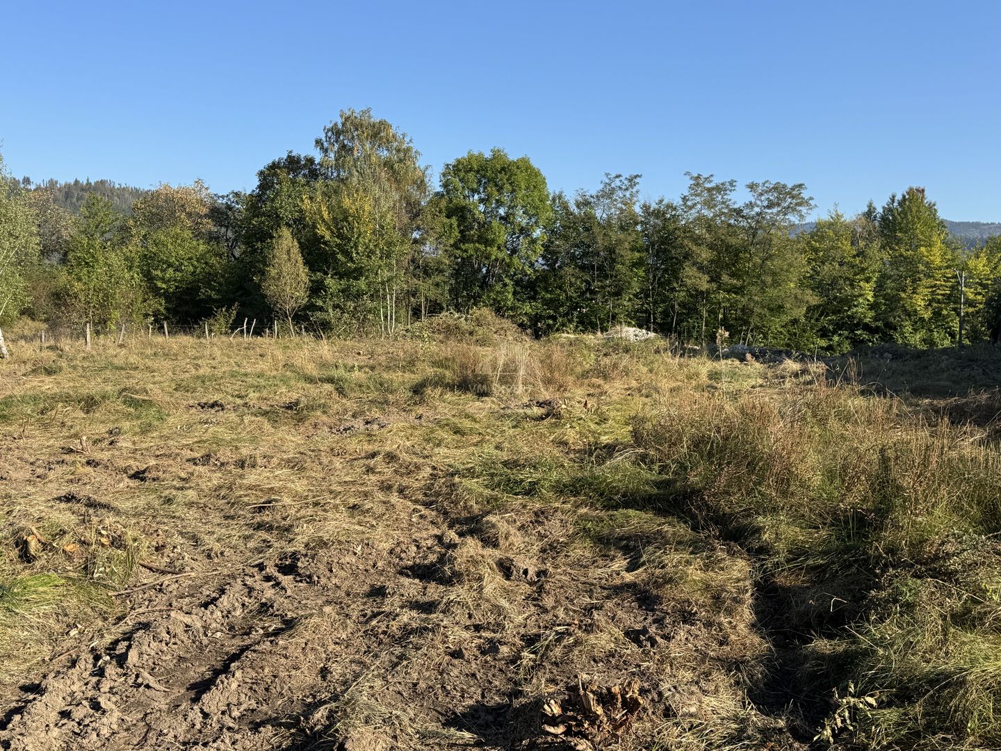 TEREN INTRAVILAN, CAMPULUNG,  2691 MP - Poză 29