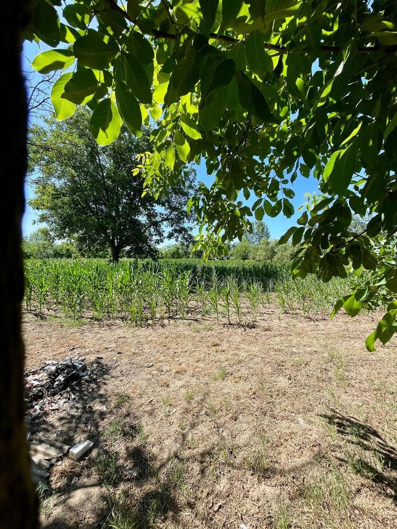 Casa cu 5 camere in localitatea Sacuieni - Poză 11