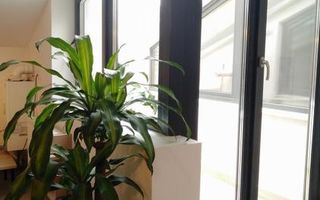 Închiriere 2 Camere Unirii, Centrală, Terasă, Petfriendly - Poză 3