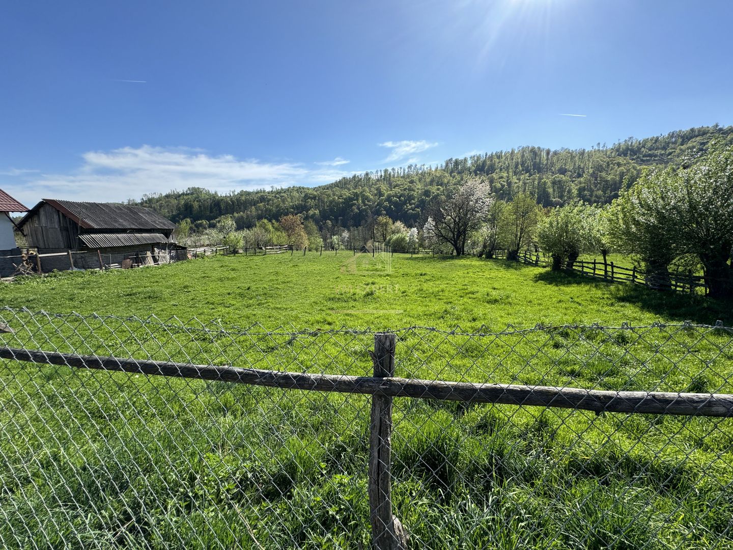 TEREN INTRAVILAN 2592 MP,  ALBESTI DE MUSCEL, ARGES - Poză 3