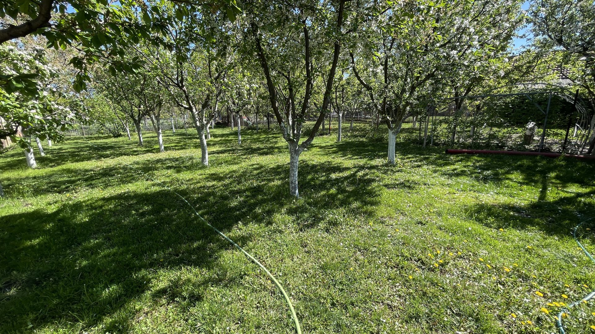 Casa cu teren frumos si garaj zona Mehala - Poză 22