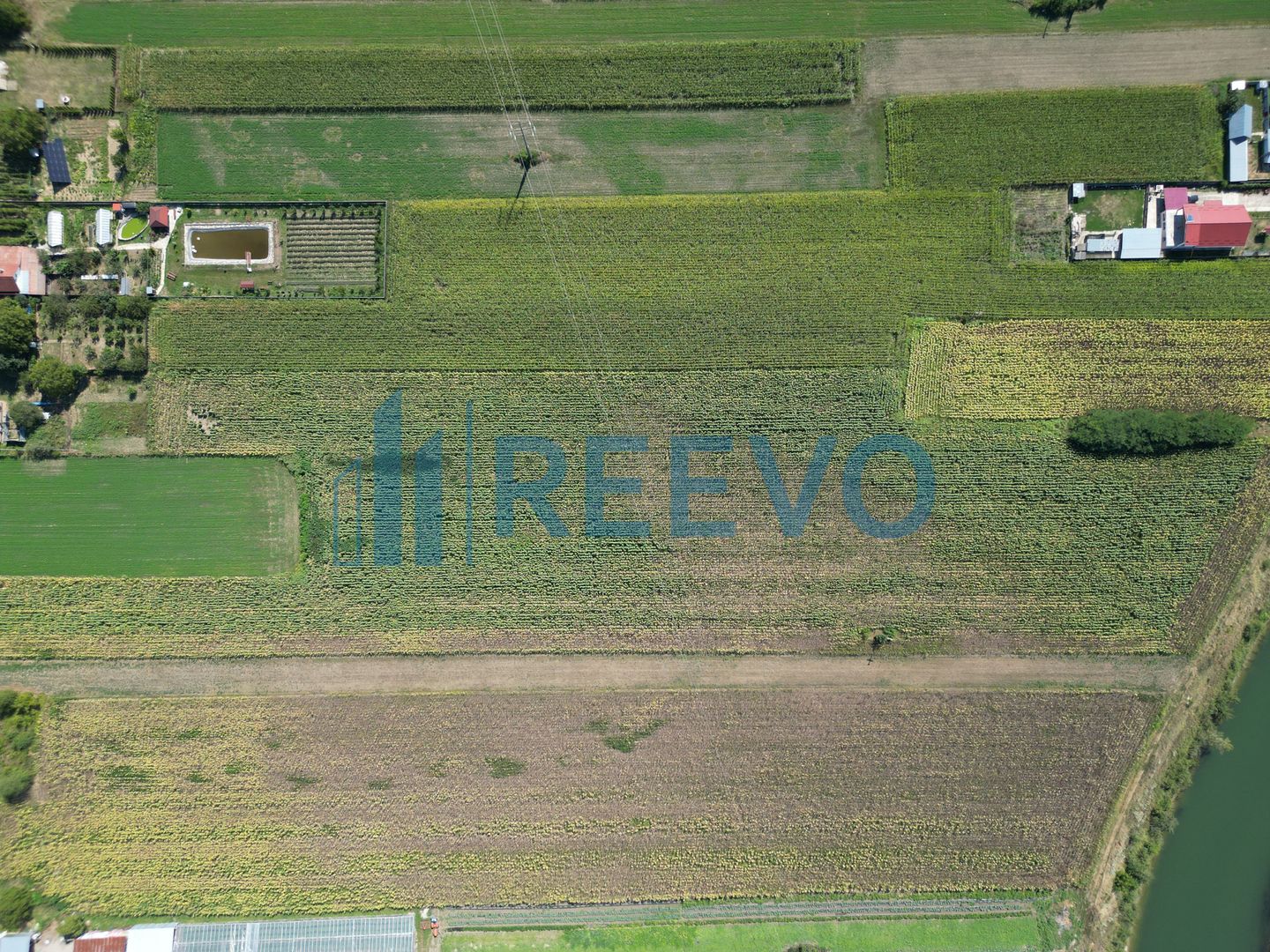 Teren intravilan în Racova - Poză 9