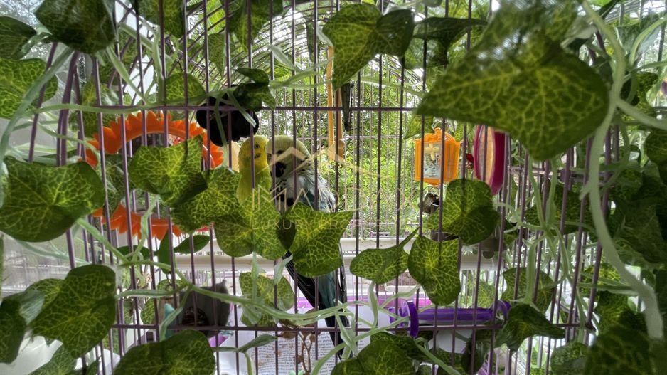 Garsoniera//Oportunitate investitie***Piata Resita-Bucuresti - Poză 5