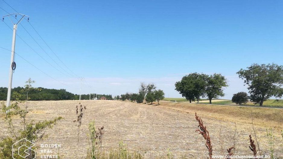 Teren intravilan, pentru constructii hale industriale, zona Pecica - Poză 1