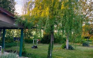 Casa 3 camere Parter Giurgiu Com Bucsani - Poză 3