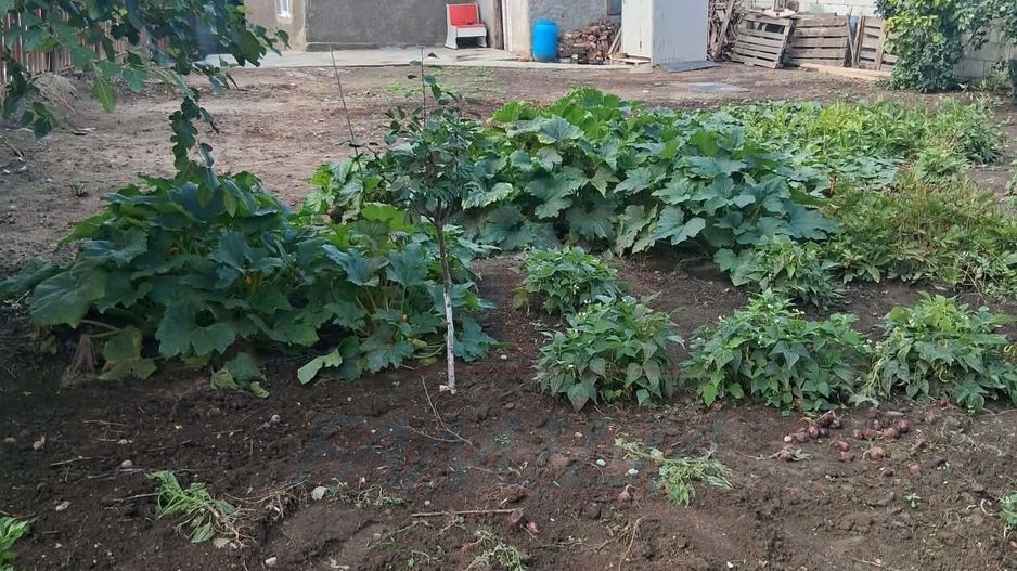38.000 euro, casa DEMOLABILA cu 440 mp teren in FILESTI - Poză 1