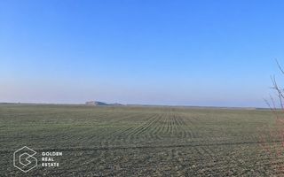 Teren agricol 32.000 mp, deschidere sosea Arad–Siria - Poză 2