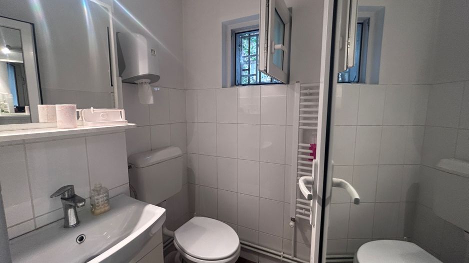 Spatiu de inchiriat - Poză 8