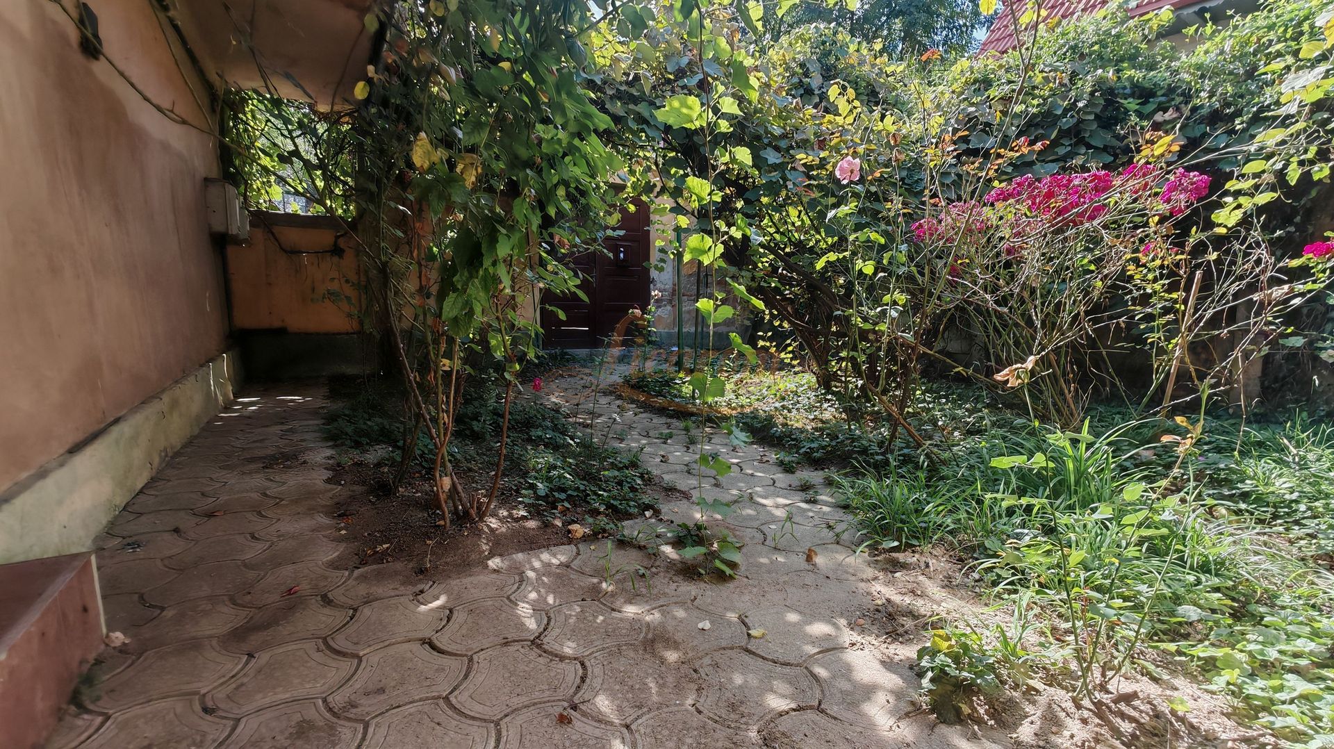 Casa singur in curte zona ZONA ISTORICA langa Seminarul Teologic - Poză 11