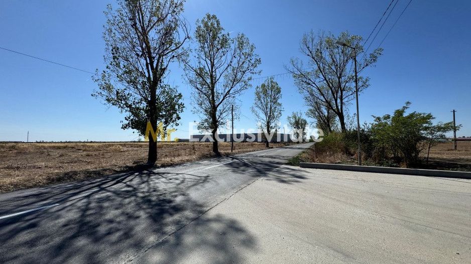 Teren extravilan de vânzare – Căteasca, Argeș | 27.201 mp | Deschidere 58,55 m - Poză 7