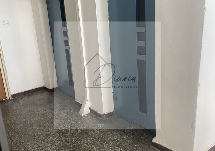 Apartament 2 camere Raul Doamnei Drumul Taberei I COMISION 0% - Poză 9
