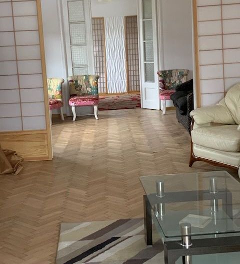 proprietar, Vand villa superba in sec 1 zona cismigiu-plevne.9 camere - Poză 2