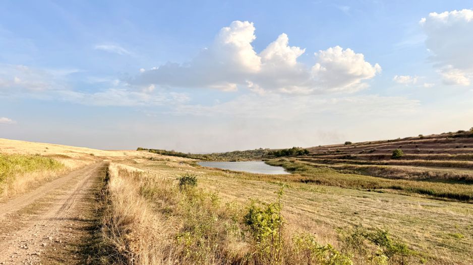 Teren Daia 75000 mp cu balta 30000 mp izvoare - Poză 24
