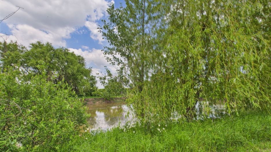 Teren cu baltă- oportunități multiple la Fibiș - Poză 11