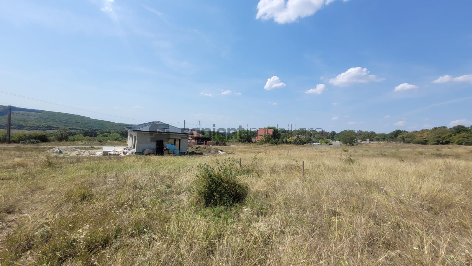 Teren Betfia Padure - Poză 3