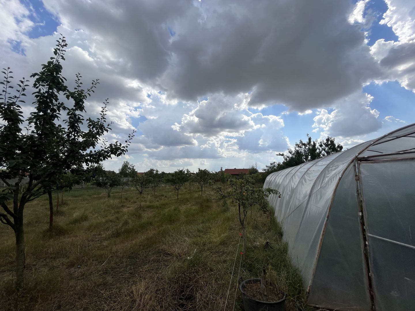 Casa Individuala Becicherecu Mic P+M,3 Camere,2 Bai,Teren 3400 mp,F.s 35m - Poză 5