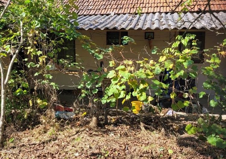 BRASADAS vinde casa in Moftinul Mare. - Poză 1