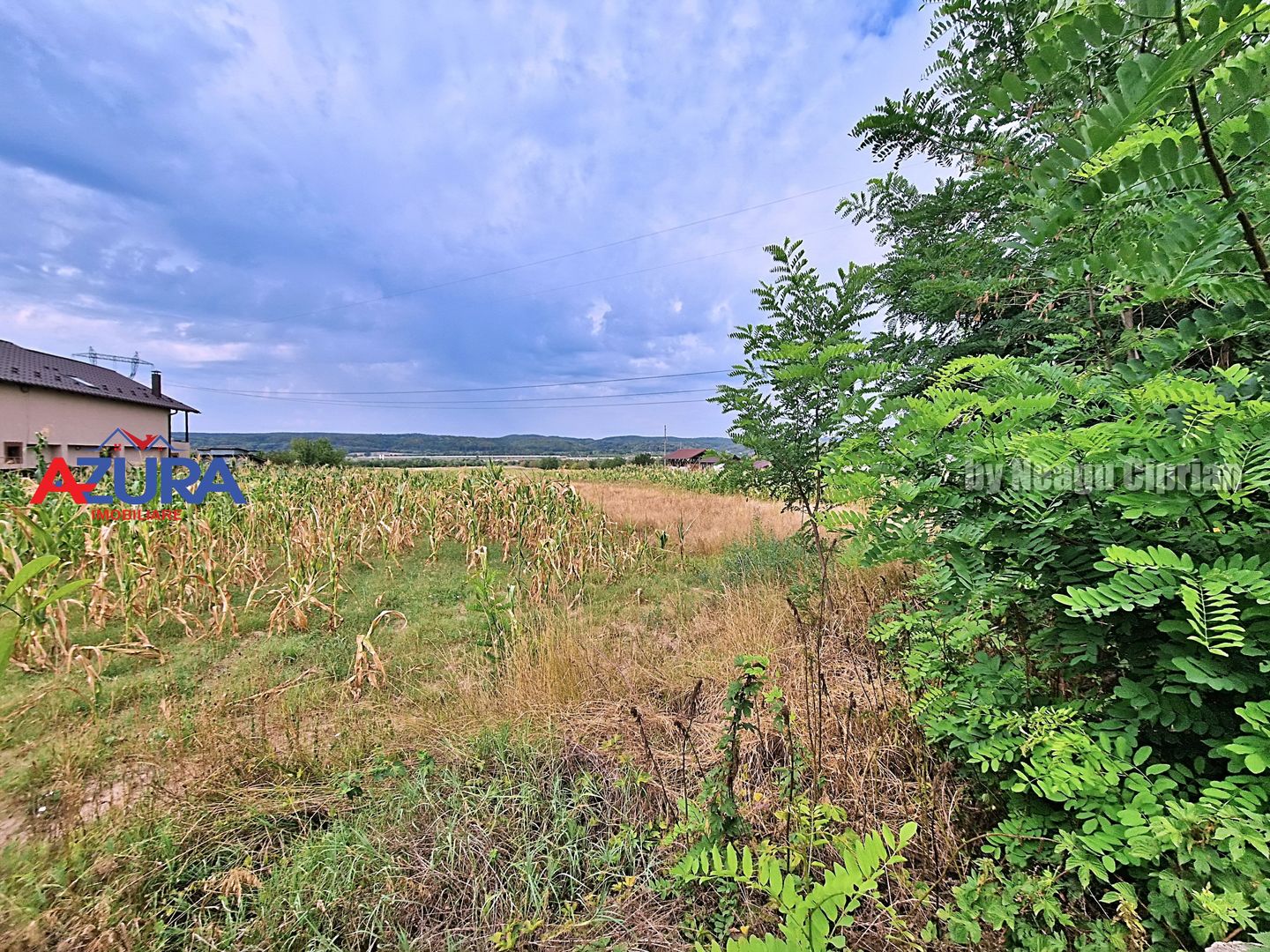 AZURA Imobiliare - Teren Budeasa Galasesti Calotesti - Poză 8