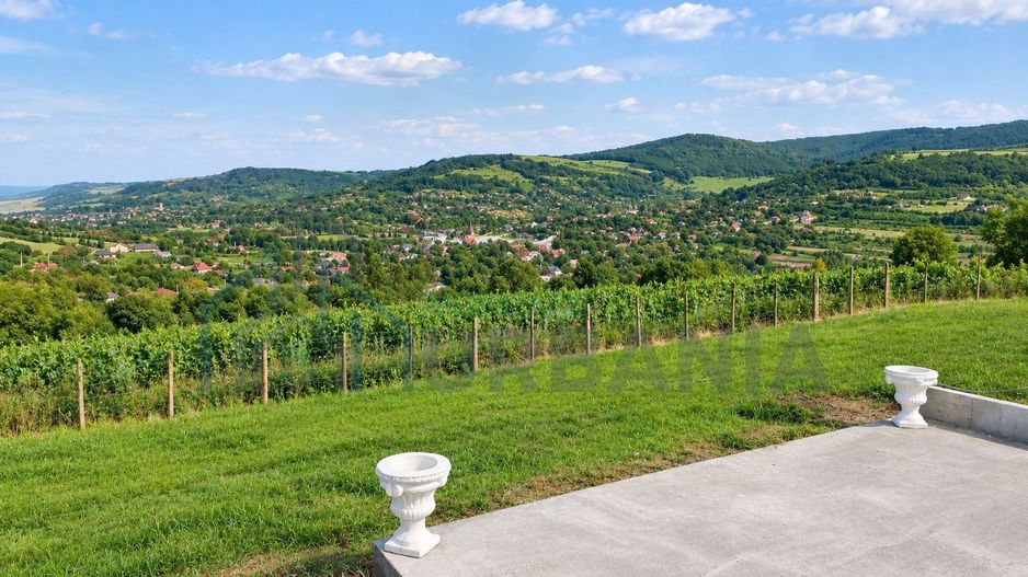 Teren intravilan și extravilan în Răducăneni, jud. Iași, zona Dealul Doi Lei - Poză 3