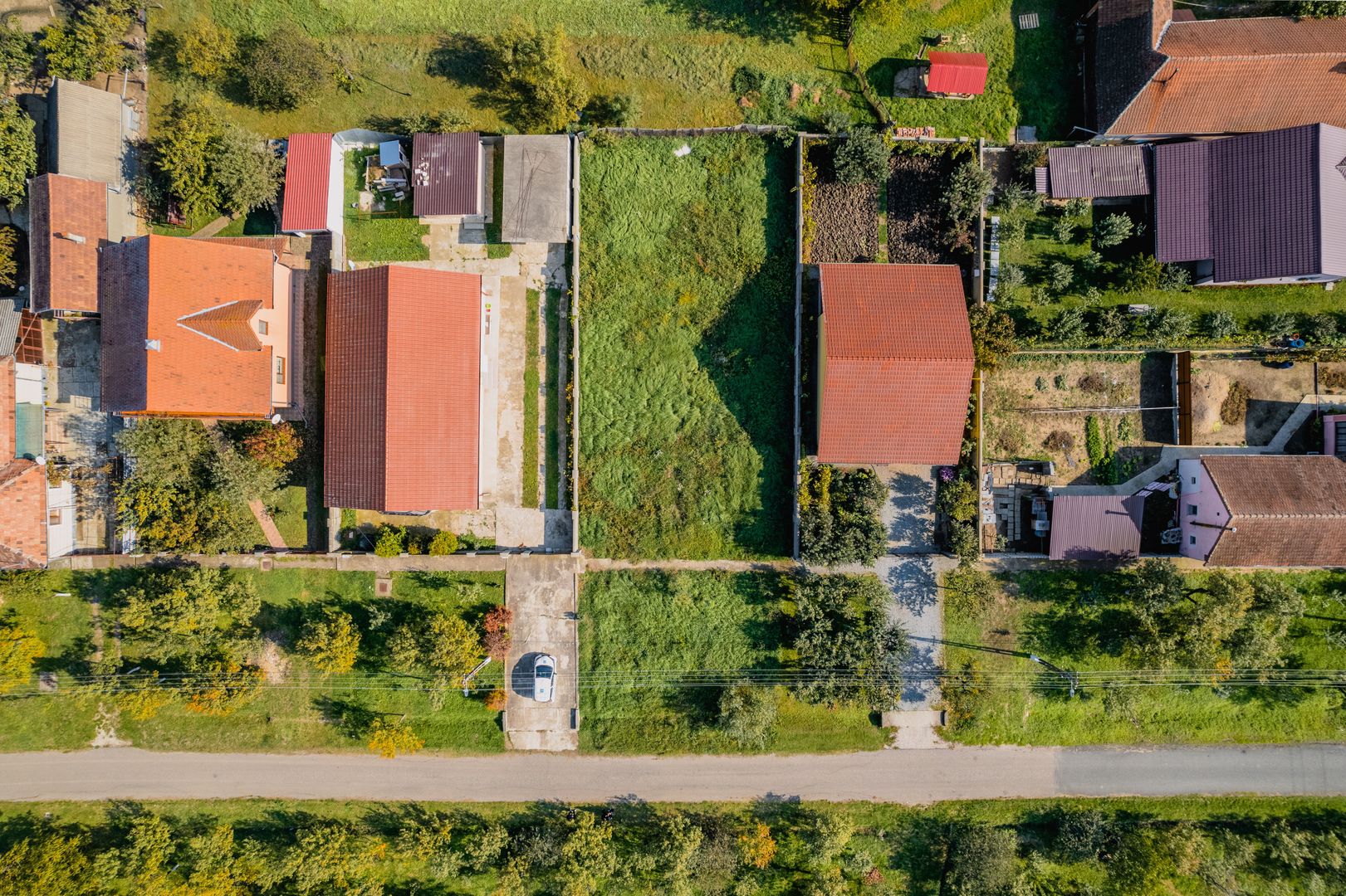 Teren de vânzare în Cicir - Poză 3