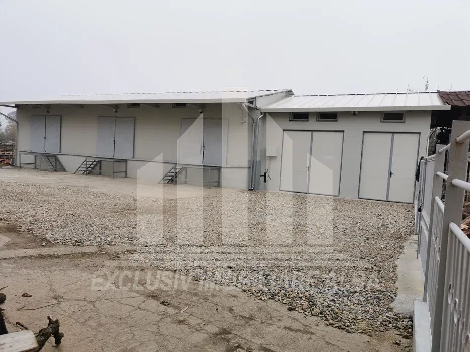 Hala industriala de vanzare - Poză 2