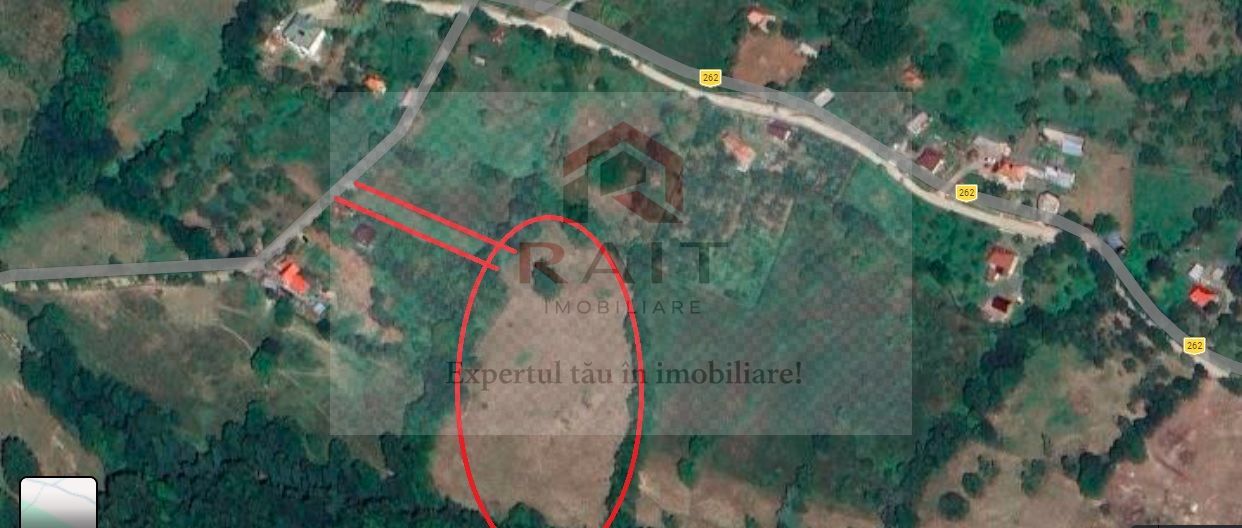 Teren extravilan de vânzare 11.740 mp Corbeni Turburea Argeș - Poză 8