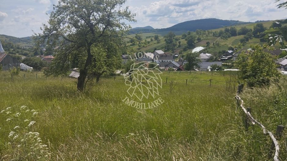 Teren intravilan 5000 mp-utilitati-ideal case-Slatinita - Poză 2