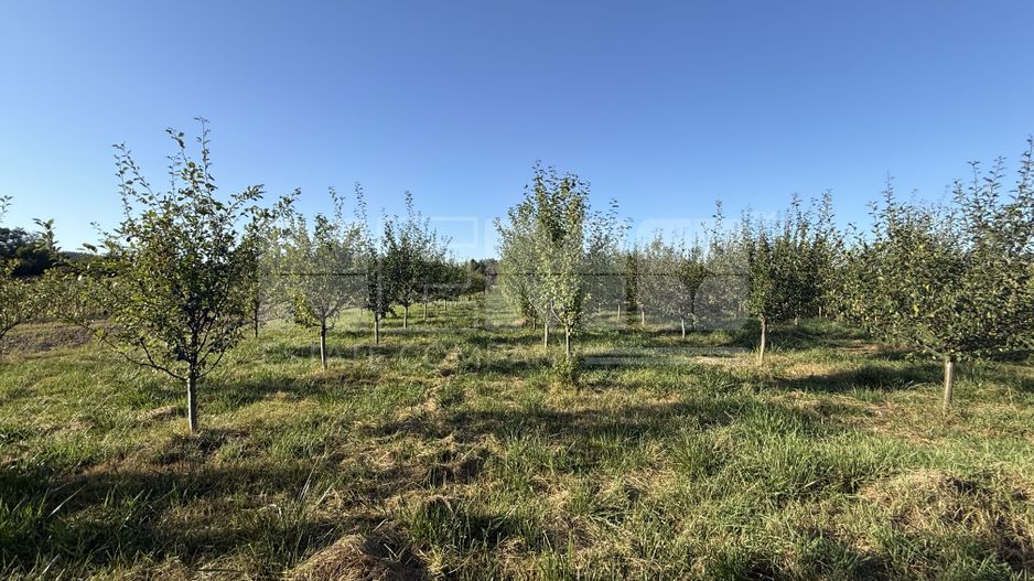 Casă de vânzare Voitinel | 32 Ari | Construită în 2023 - Poză 17